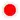 Japan basketball logo