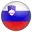 Slovenia basketball logo