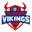 Hyderabad vikings pickleball logo