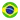 Brazil women rugby logo